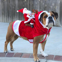 Load image into Gallery viewer, Christmas Dog Costume

