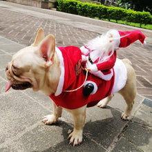 Load image into Gallery viewer, Christmas Dog Costume
