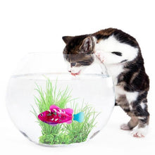 Load image into Gallery viewer, Battery-Powered Fish Cat Toy Water Activated LED Swimming Fish Toy Cat Fish Toys with Aquatic Weed &amp; Screwdriver for Cats
