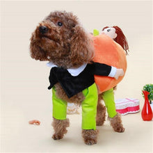 Load image into Gallery viewer, Dog Pumpkin Halloween Costume
