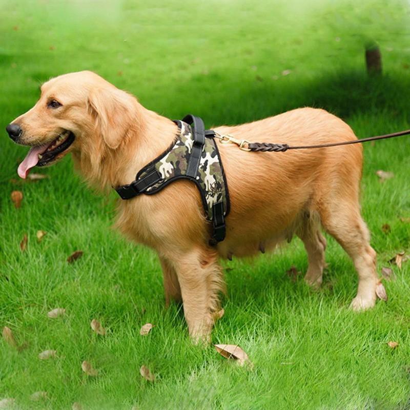 Adjustable Pet Dog Harness