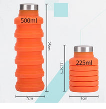 Load image into Gallery viewer, Collapsible Silicone Water Bottle
