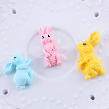 Load image into Gallery viewer, 3D Silicone Rabbit Mold
