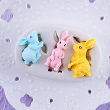 Load image into Gallery viewer, 3D Silicone Rabbit Mold
